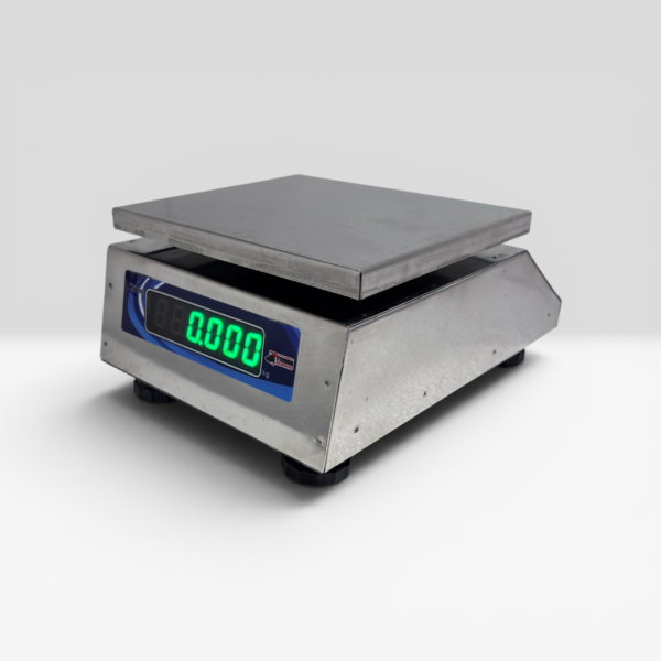 SS Mini Scale