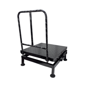 MS Portable Scale